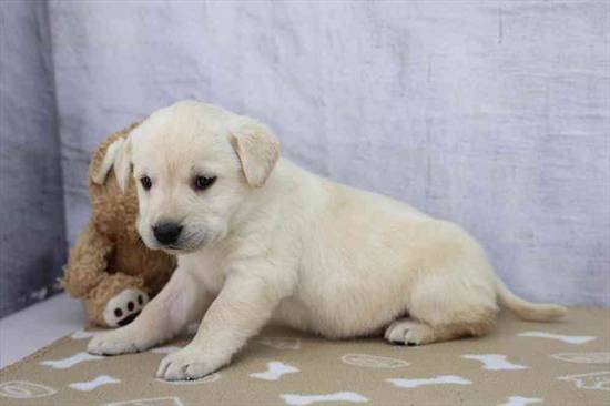Tiny